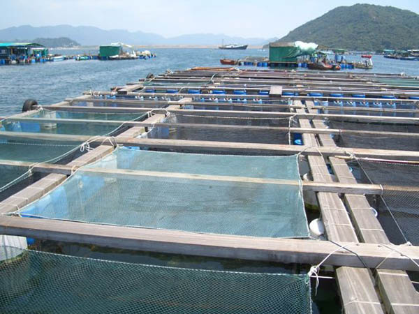 養(yǎng)魚場(chǎng)